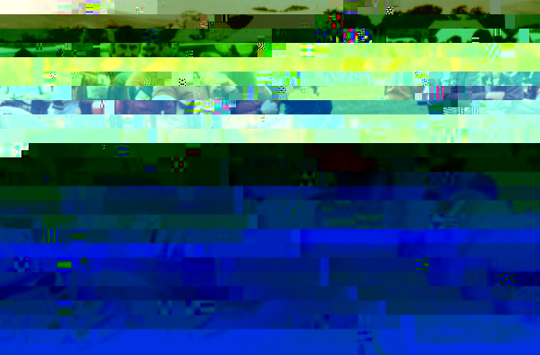 17138_101585506539392_4218884_n.jpg
