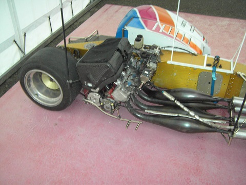 NIP-3.JPG
