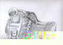scott printable.jpg