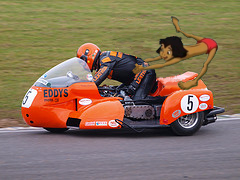 Eddie & Mowgli.jpg